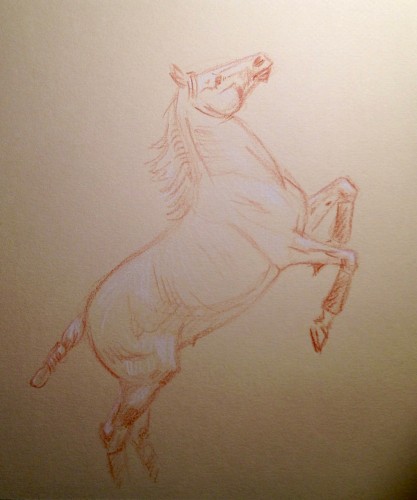 Original crayon sketch of a  circus horse performing at liberty.