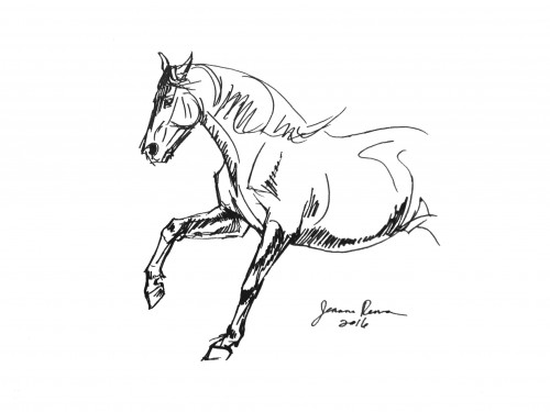 Original ink sketch of a galloping horse, rounding a turn. 9 x 12 inches.