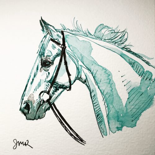 turquoise and black ink sketch of a horse head wearing a bridle