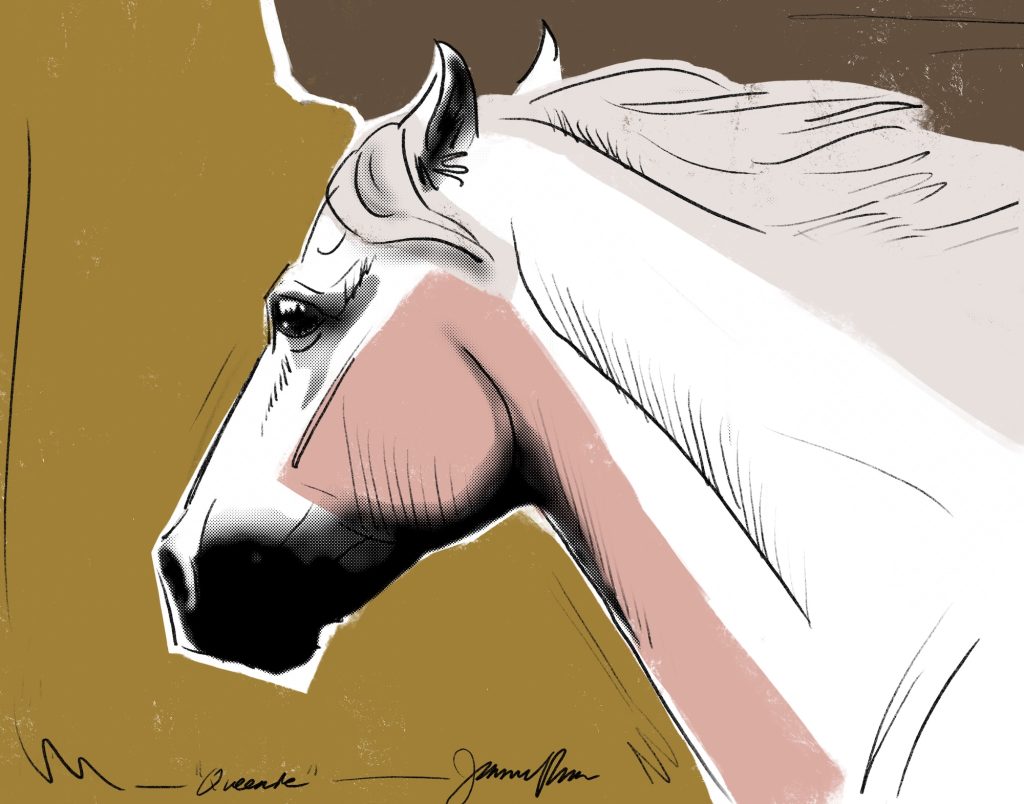 digital painting of a white pony in a screen print Andy Warhol style in shades of brown, black white, and pink.